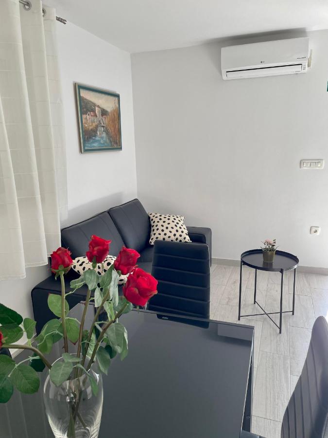 טרוגיר Apartment Paulina מראה חיצוני תמונה
