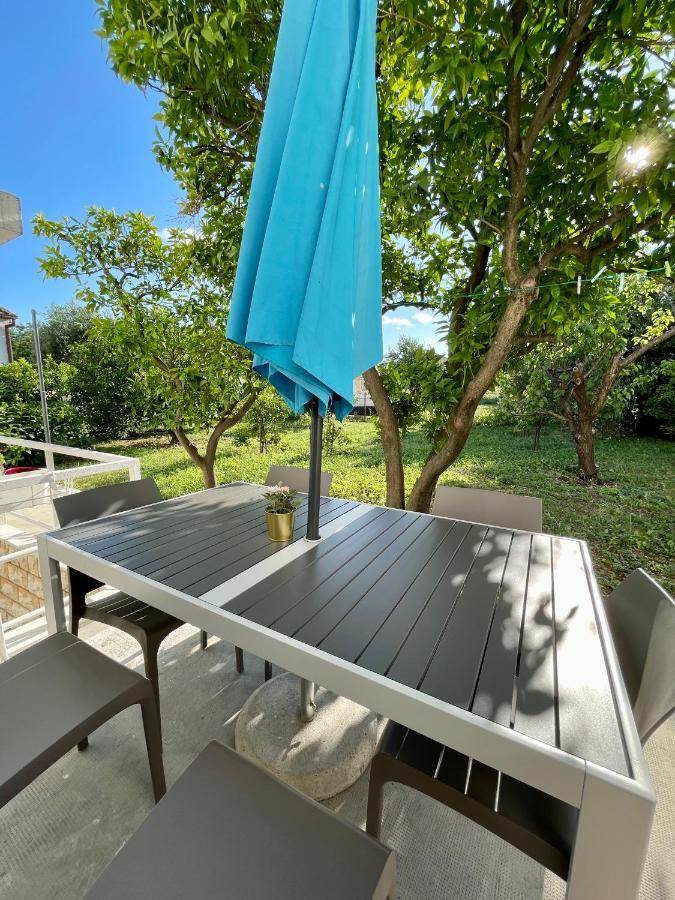 טרוגיר Apartment Paulina מראה חיצוני תמונה