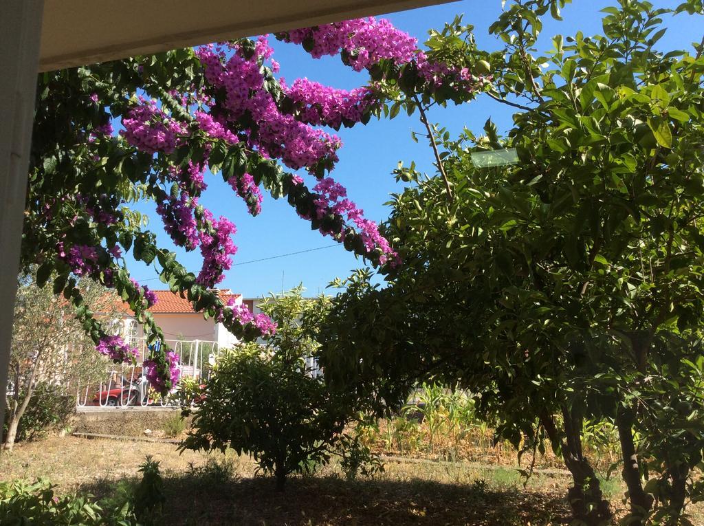 טרוגיר Apartment Paulina מראה חיצוני תמונה